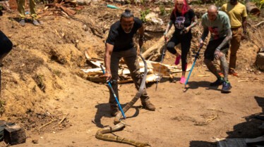 Le roi des serpents (2).jpg