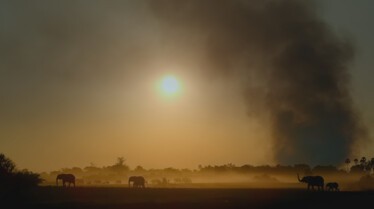 Le royaume sauvage  Envoyés au front (3).JPG