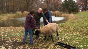 L'incroyable Dr Pol  En terre polaire (1).jpg