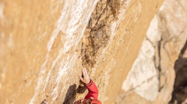 Expédition Groenland avec Alex Honnold  (1).jpg