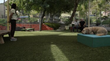 Cesar Millan  Tel maître, tel chien (1).jpg