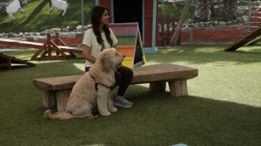 Cesar Millan  Tel maître, tel chien (2).jpg