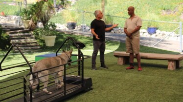 Cesar Millan Better Human Better Dog (2).jpg