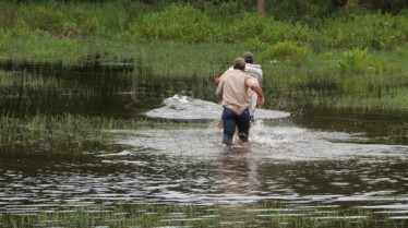 Les cowboys des marais  Belle récolte (1).JPG