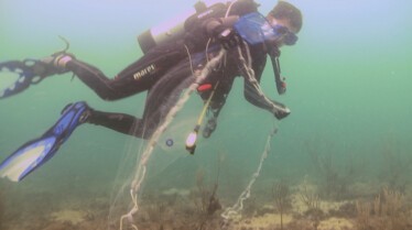 Les rois des aquariums  Un délicieux projet (3).jpg