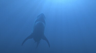 Lost Beasts Unearthed (2).jpg