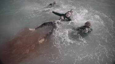 Sharks Attack Chaos in california (1).jpg
