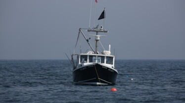 Retour de bâton (1).jpg