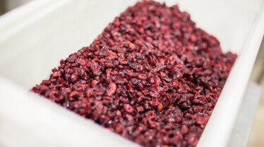 Food Factory (3).jpg