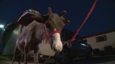 Dr Pol (1).JPG