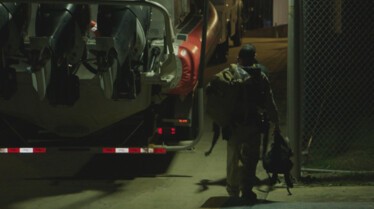 Meurtres et narcotraffic.jpg