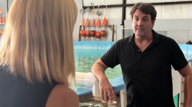 Le marché noir des ailerons de requin.jpg
