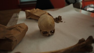 Naming The Dead A Box of Bones.jpg