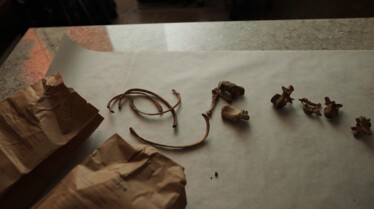 A Box Of Bones Naming The Dead.jpg