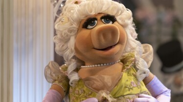 The Muppet Shows - Special (11).jpeg