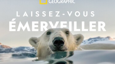 NG - LE MOIS DE LA TERRE - OURS POLAIRE.jpg