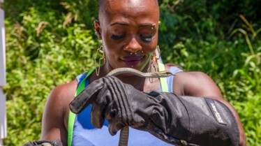 1001_SummerOfSnakes_SnakesInTheCity_0021.jpg