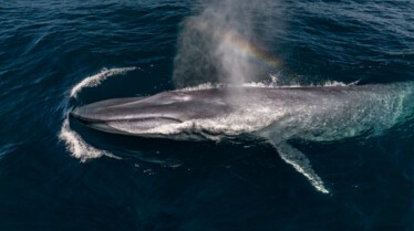 ExpeditionSavingOurSeas_MM10514_260210_00655.jpg
