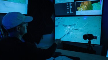 ExpeditionSavingOurSeas_NS123689284_DSC3057.jpg