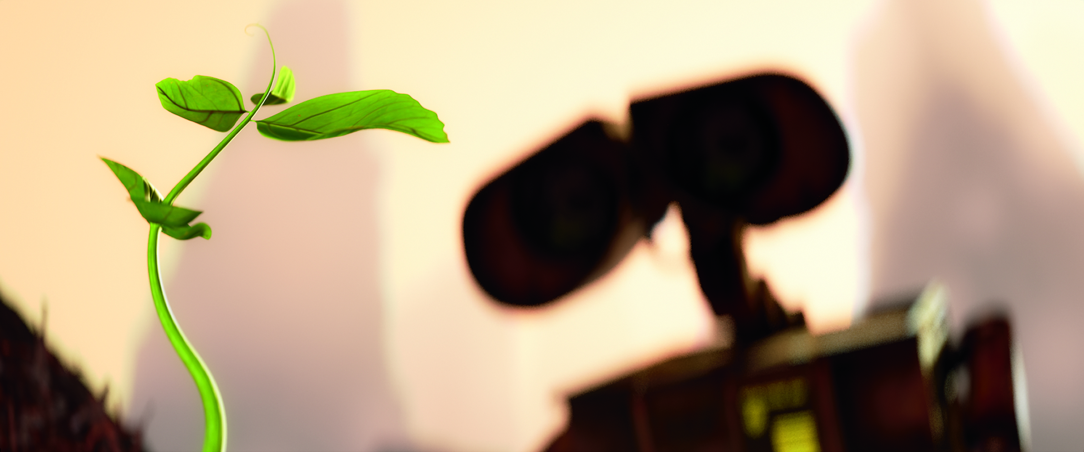 Une belle plante.jpg