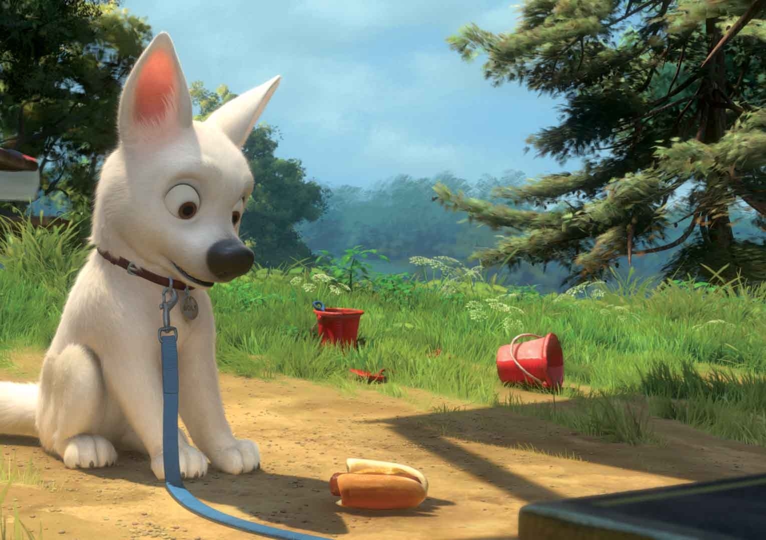 Un objet intrigant.jpg