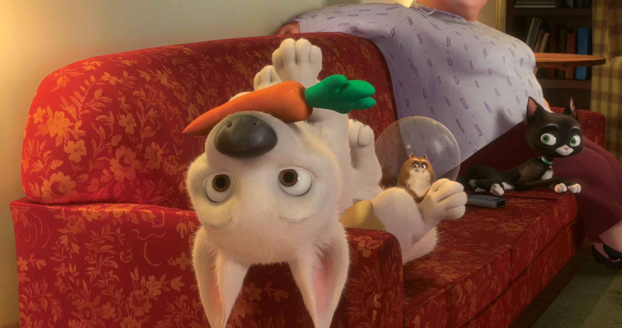 Un repos bien mérité.jpg