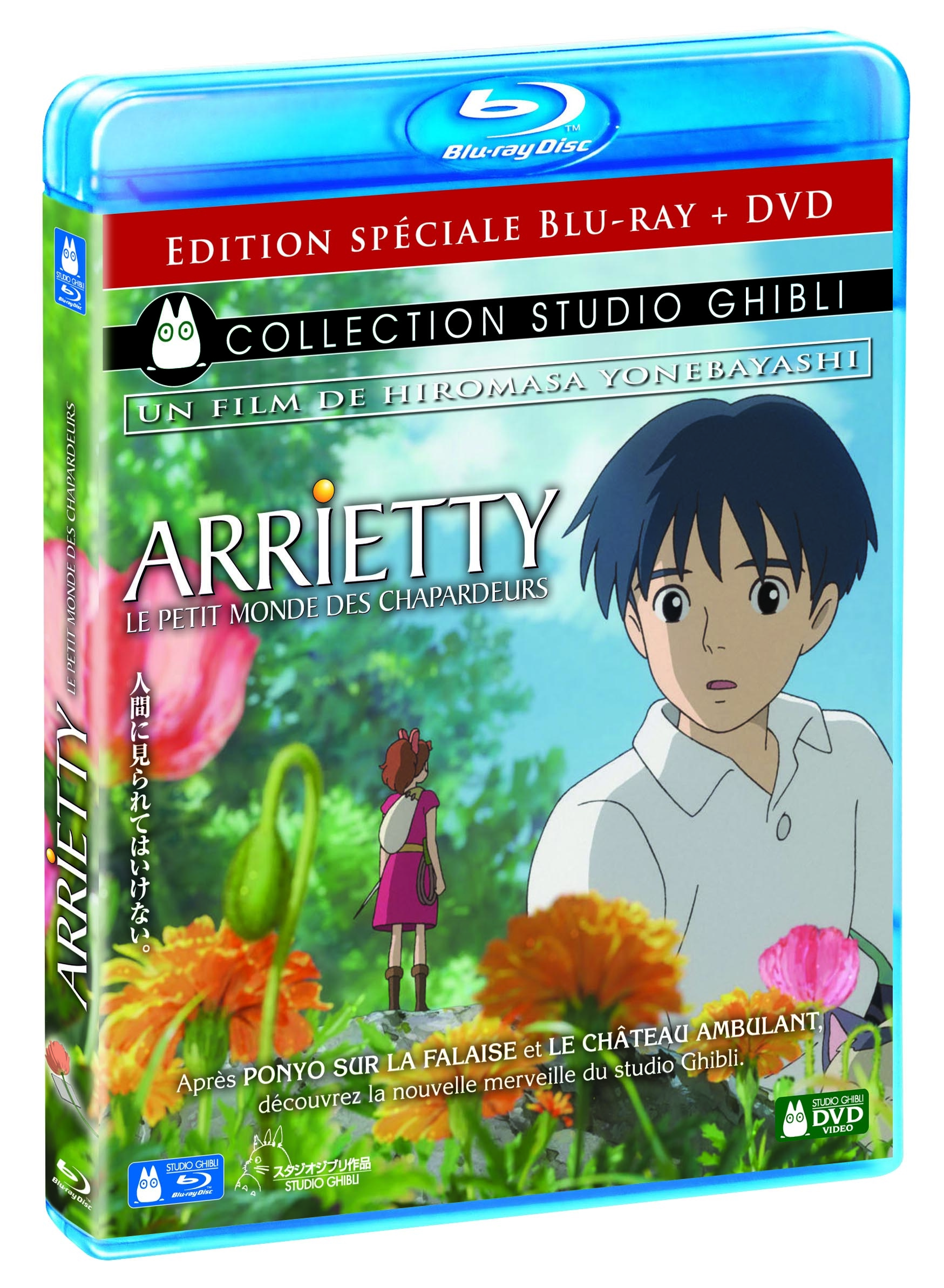 visuel Blu-ray + DVD Jaquettes.jpg