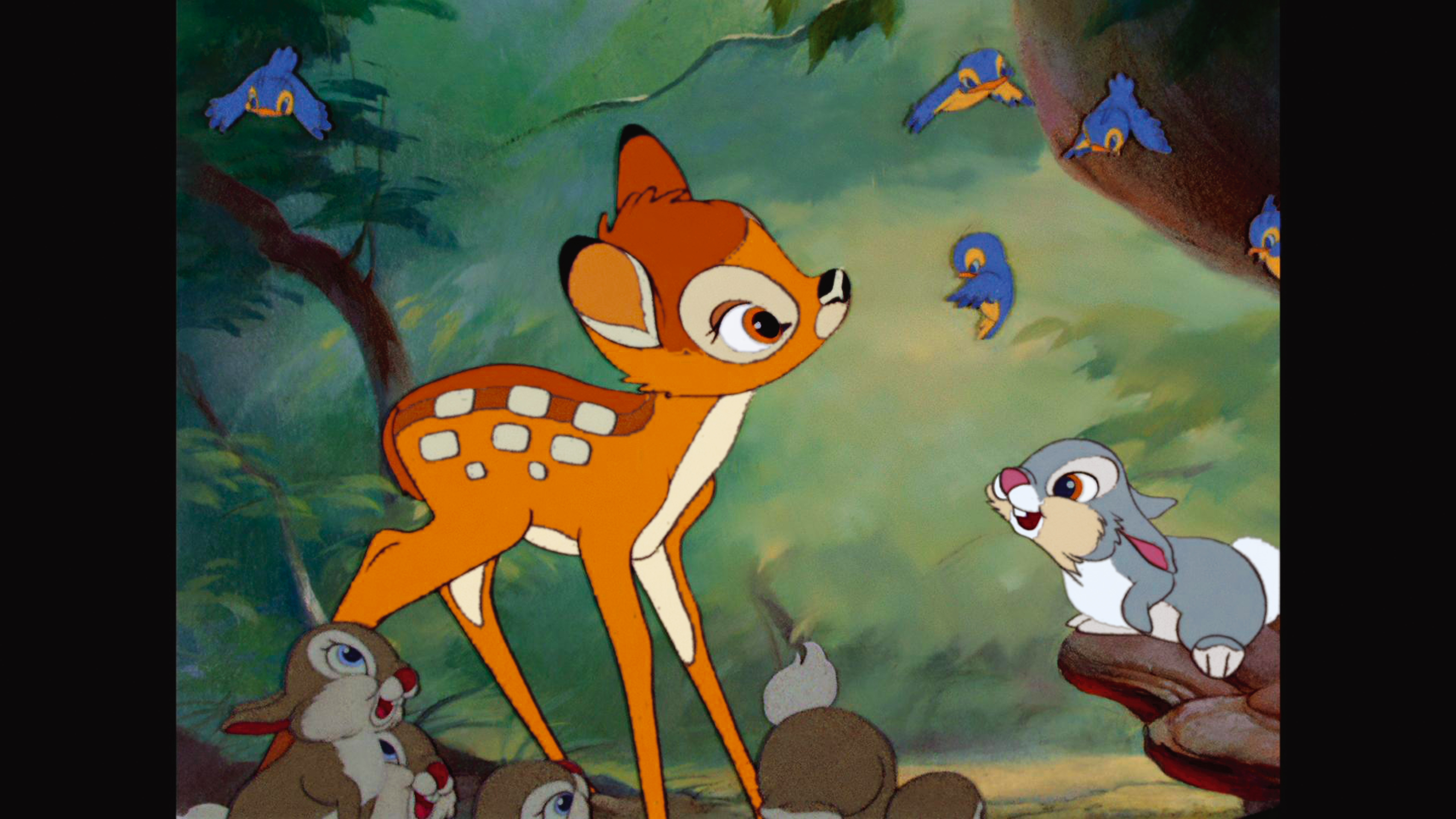 Le chant des oiseaux.jpg