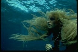 La sirène du fond des mers.jpg