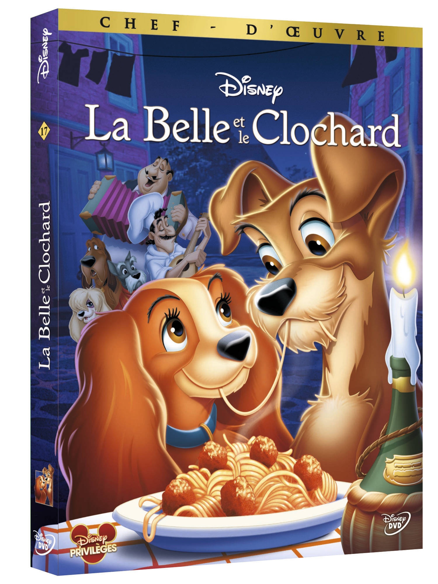 visuel DVD-1.jpg