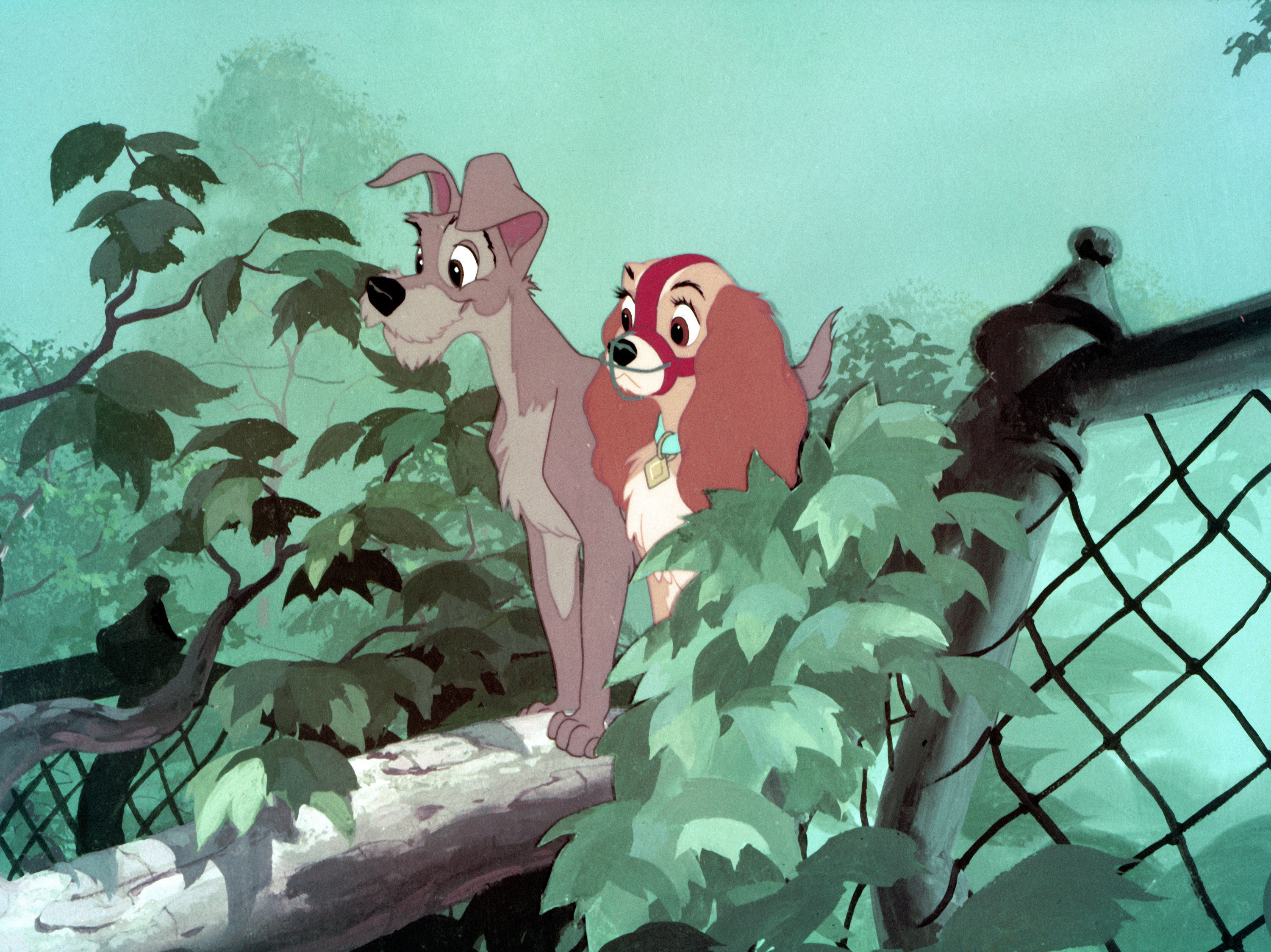 A lassaut du zoo.jpg