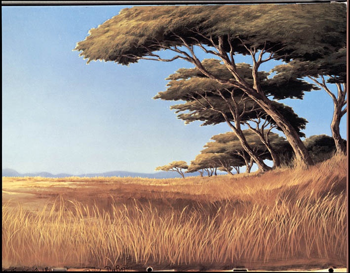 décor savane.jpg