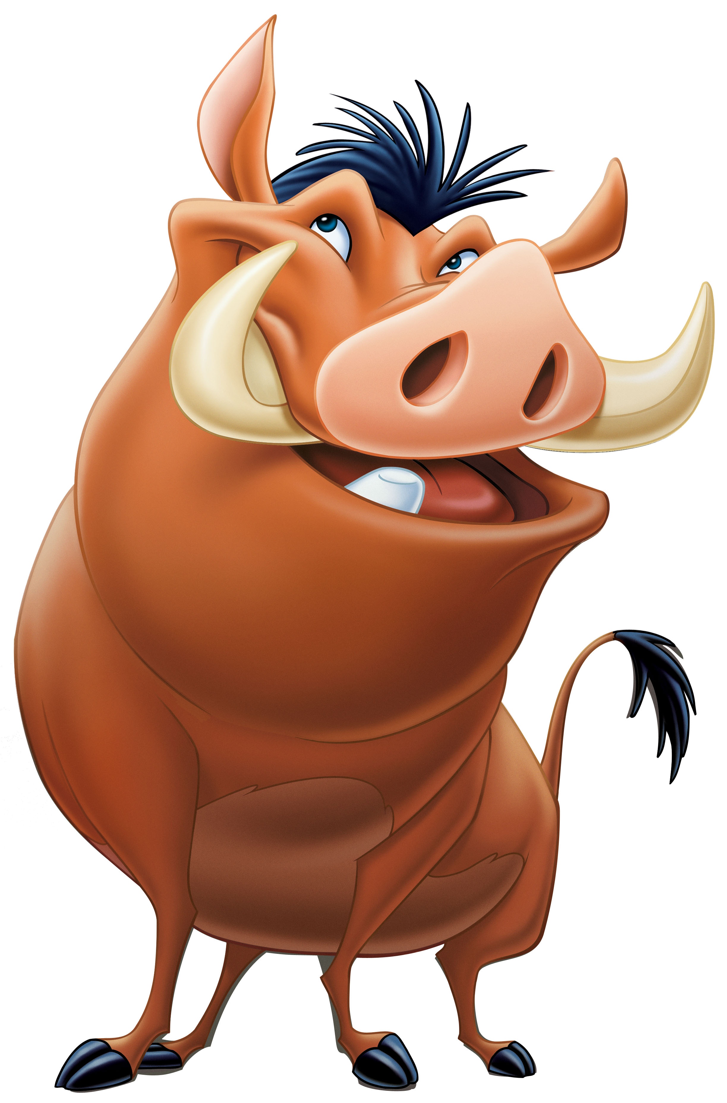 Pumba détouré.jpg