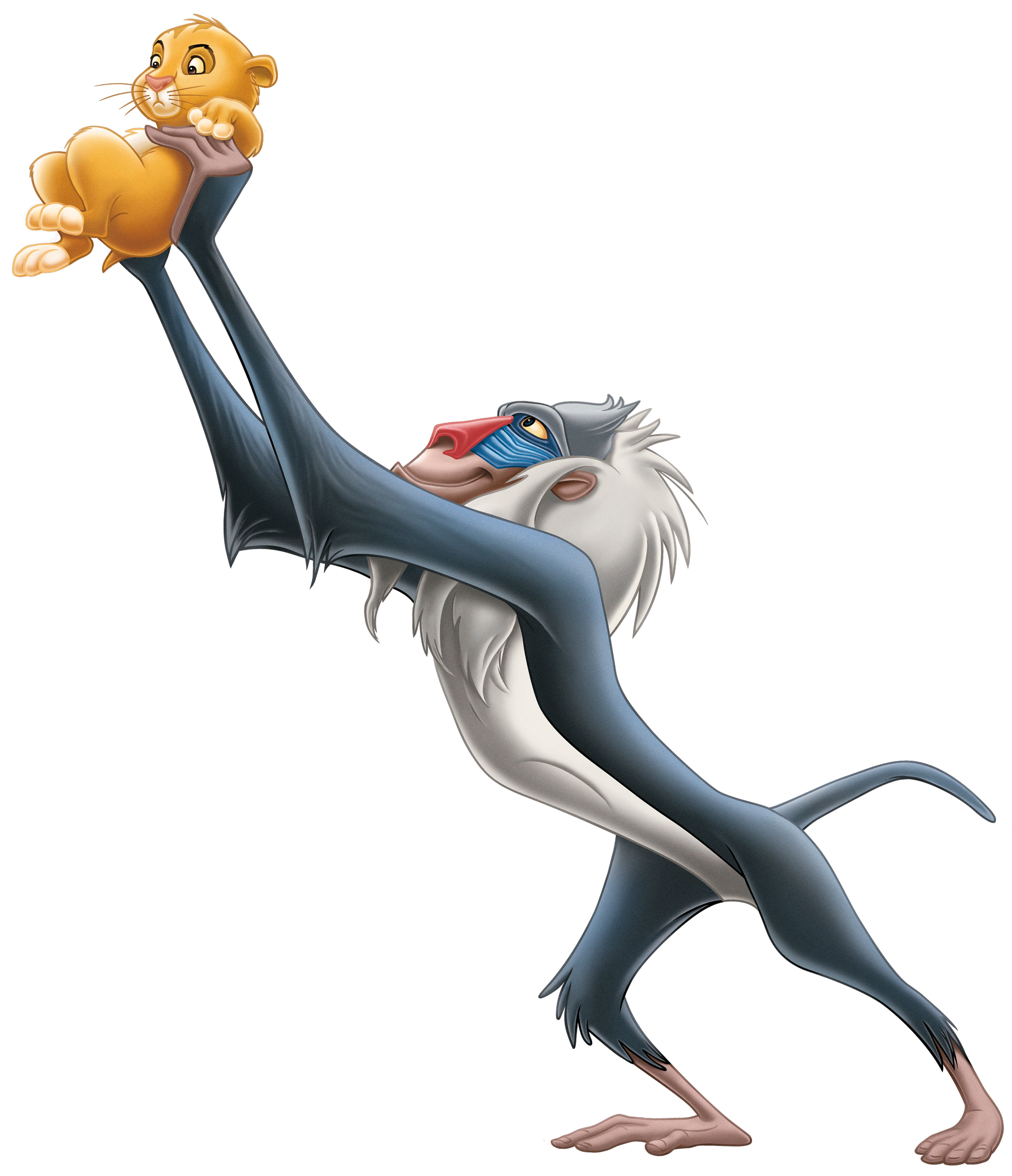 Rafiki détouré.jpg