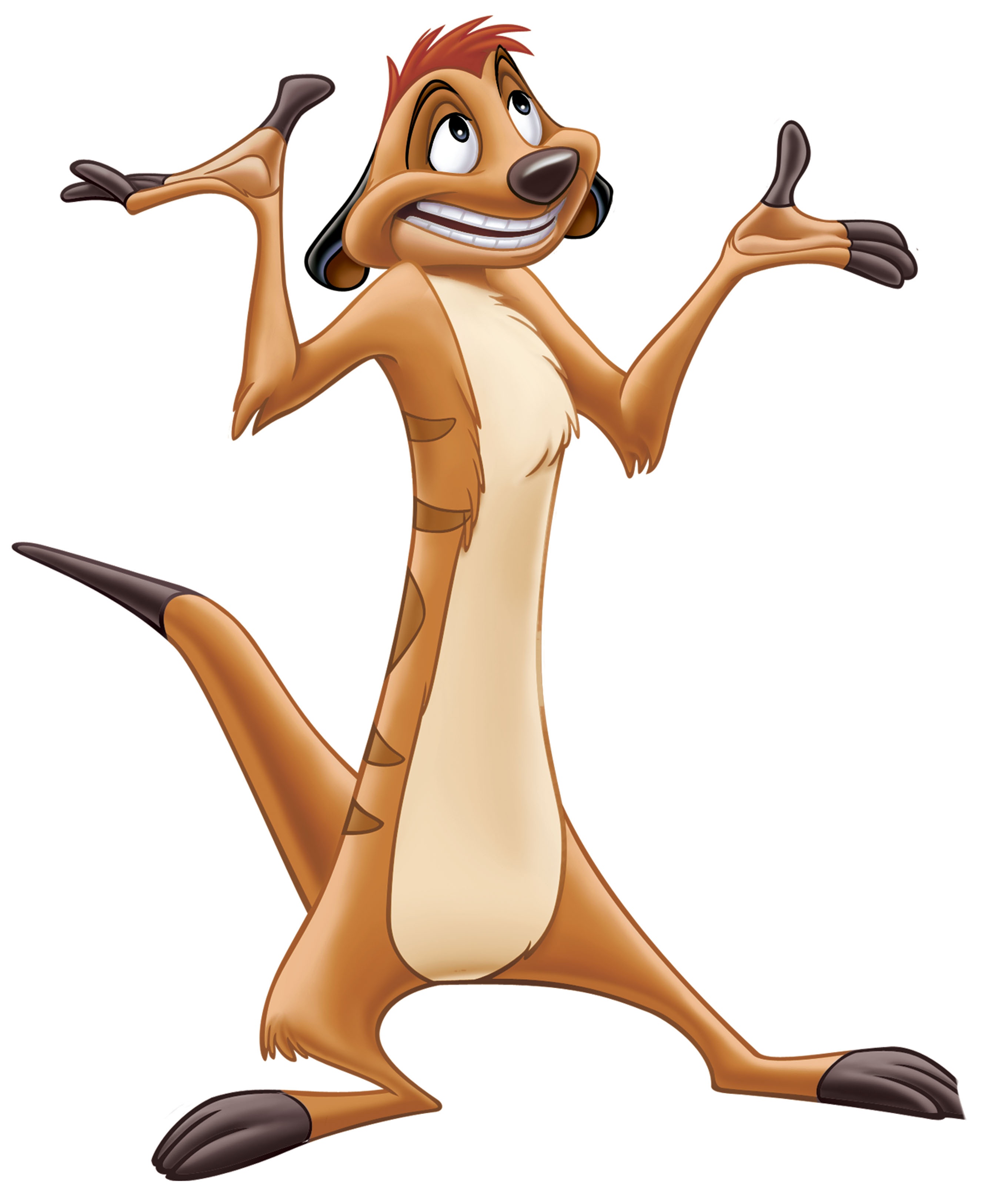 Timon détouré.jpg