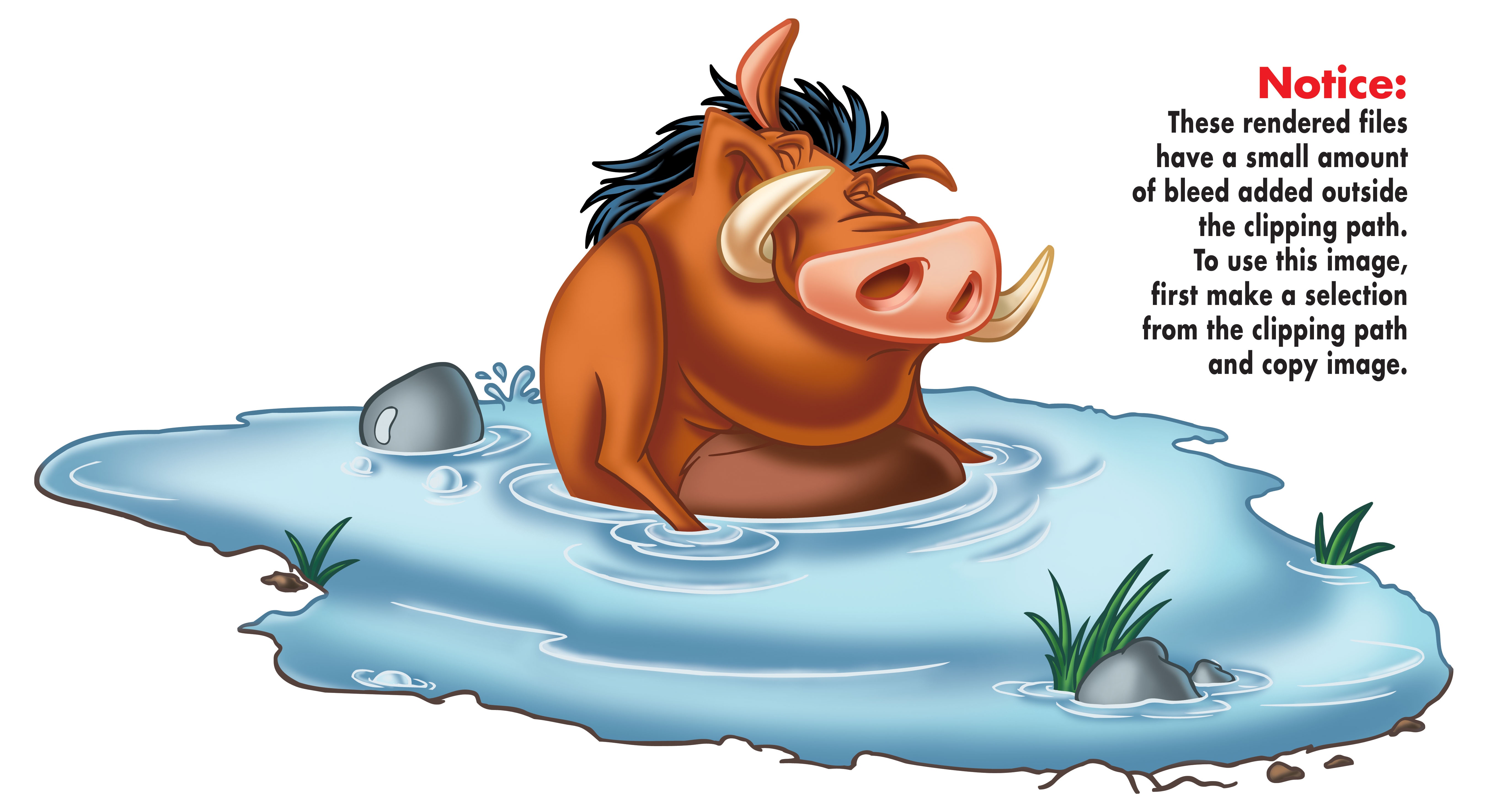 Pumbaa dans sa mare détouré.jpg