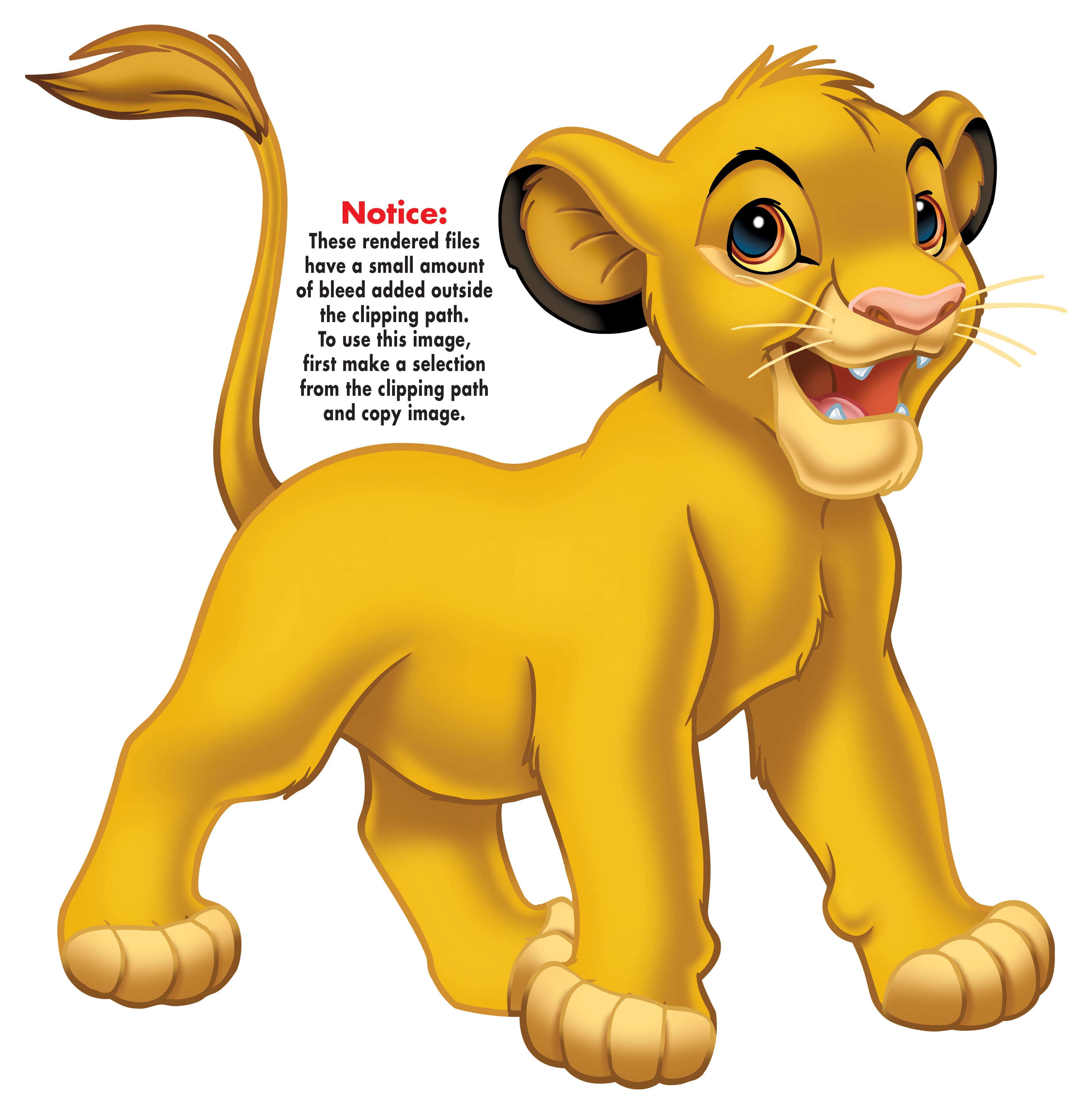 Simba jeune détouré.jpg