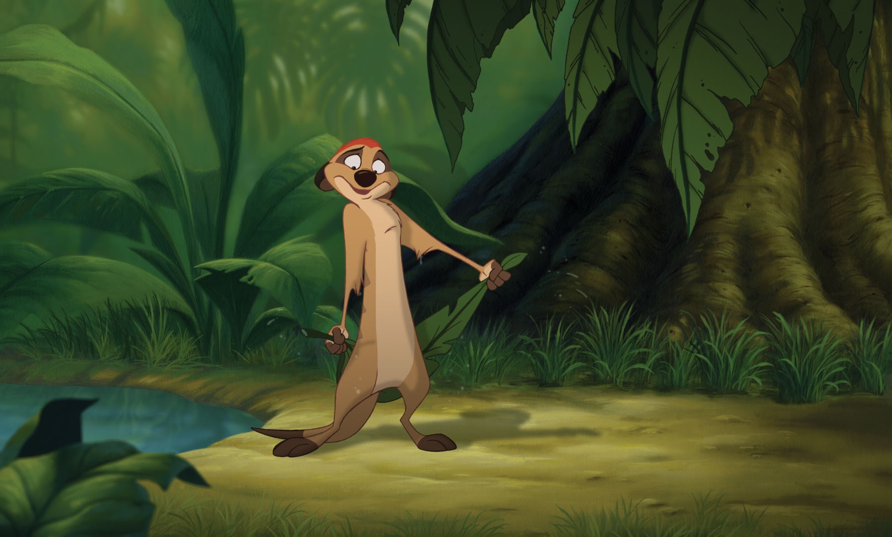 Séchage express.jpg