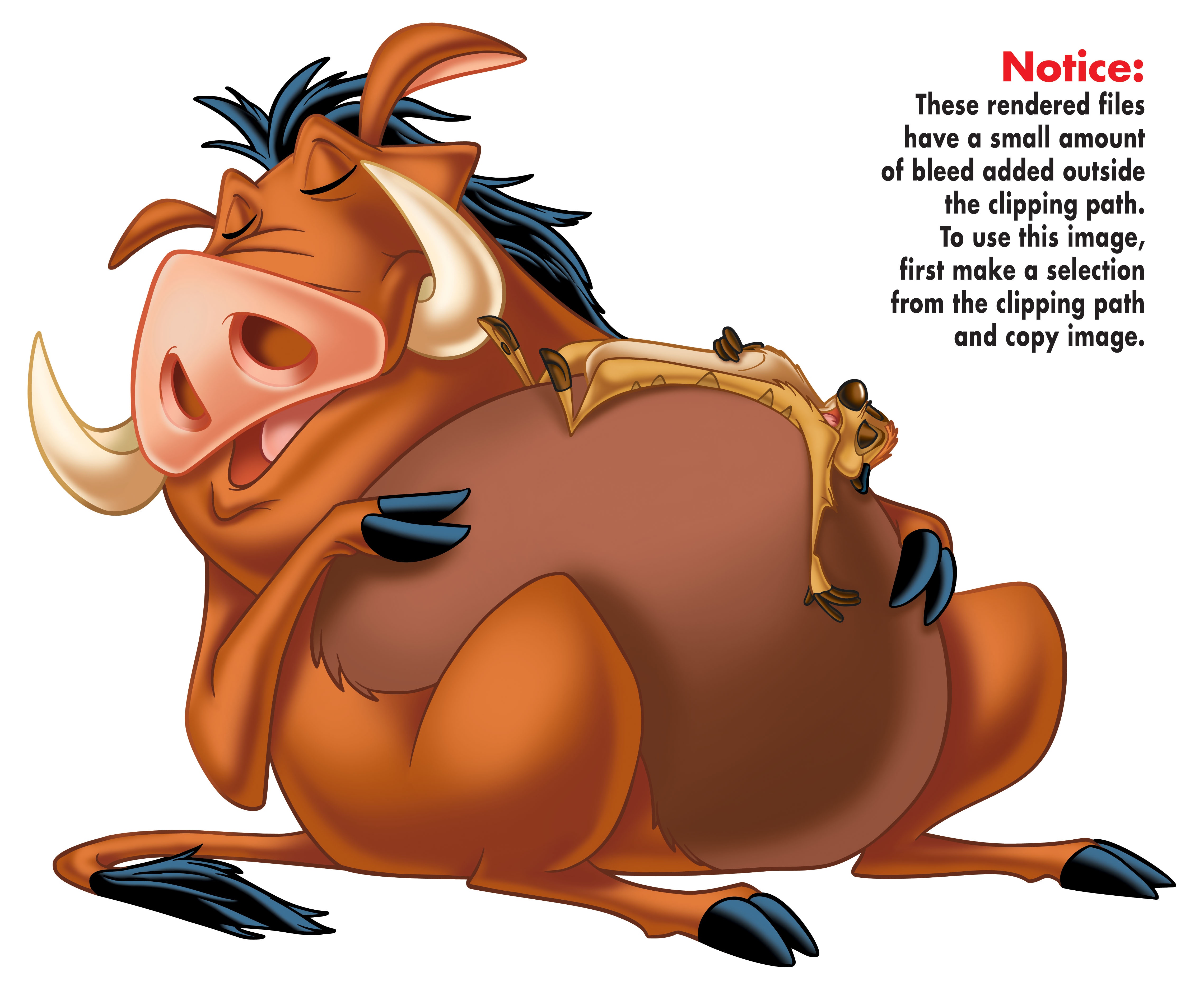 Timon et Pumbaa détourés en pleine sieste.jpg