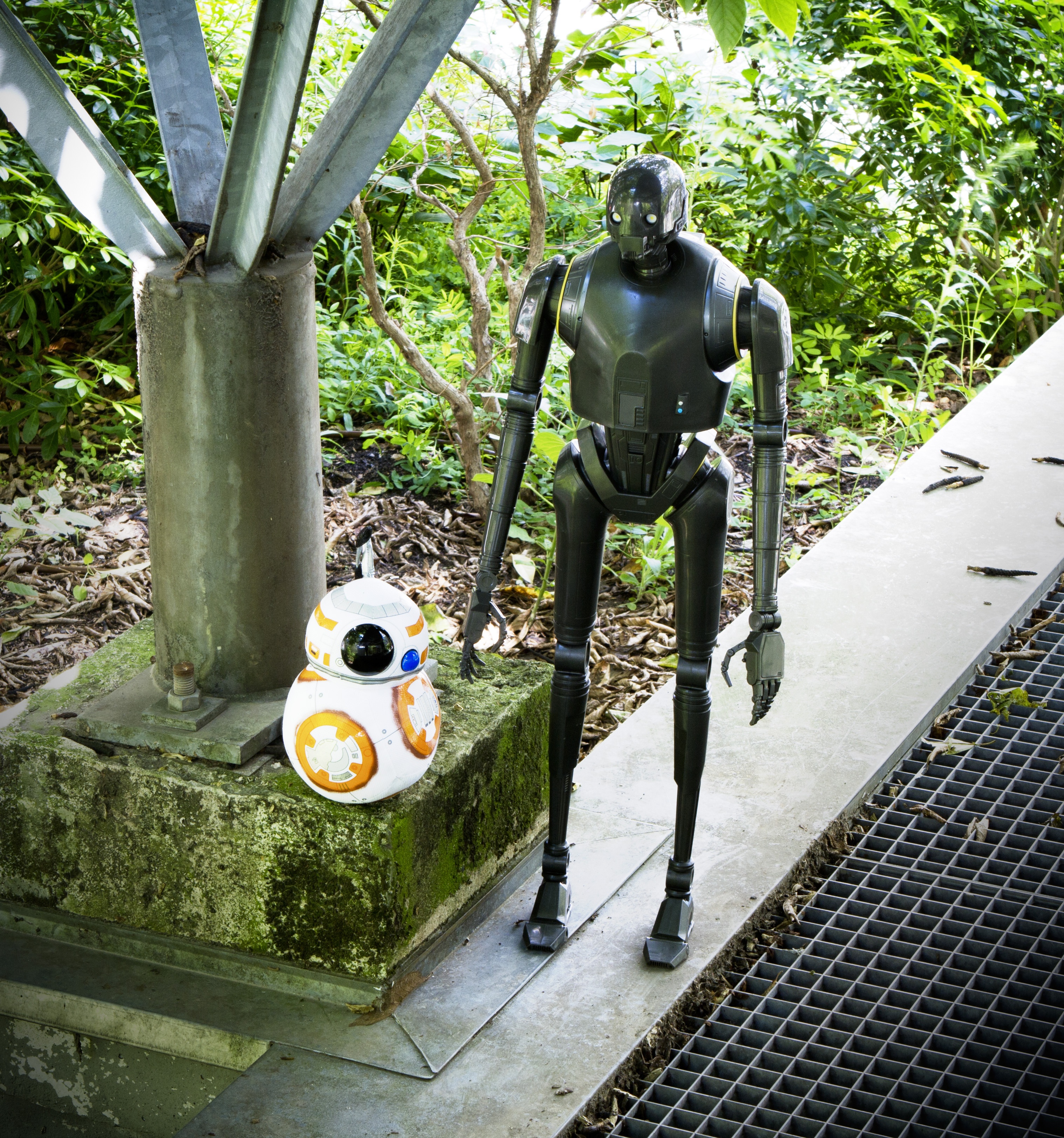 bb8_jardin.jpg