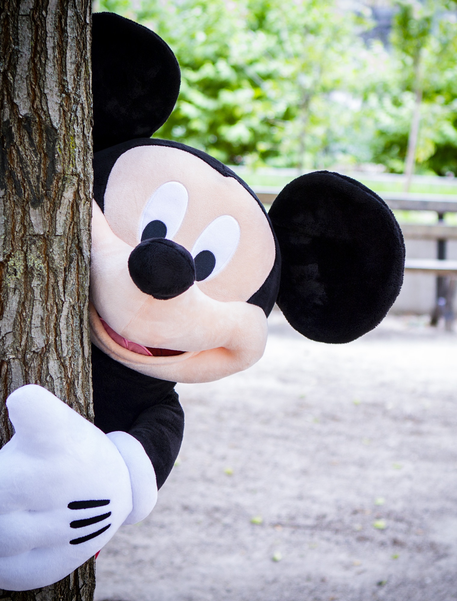 Mickey_arbre.jpg