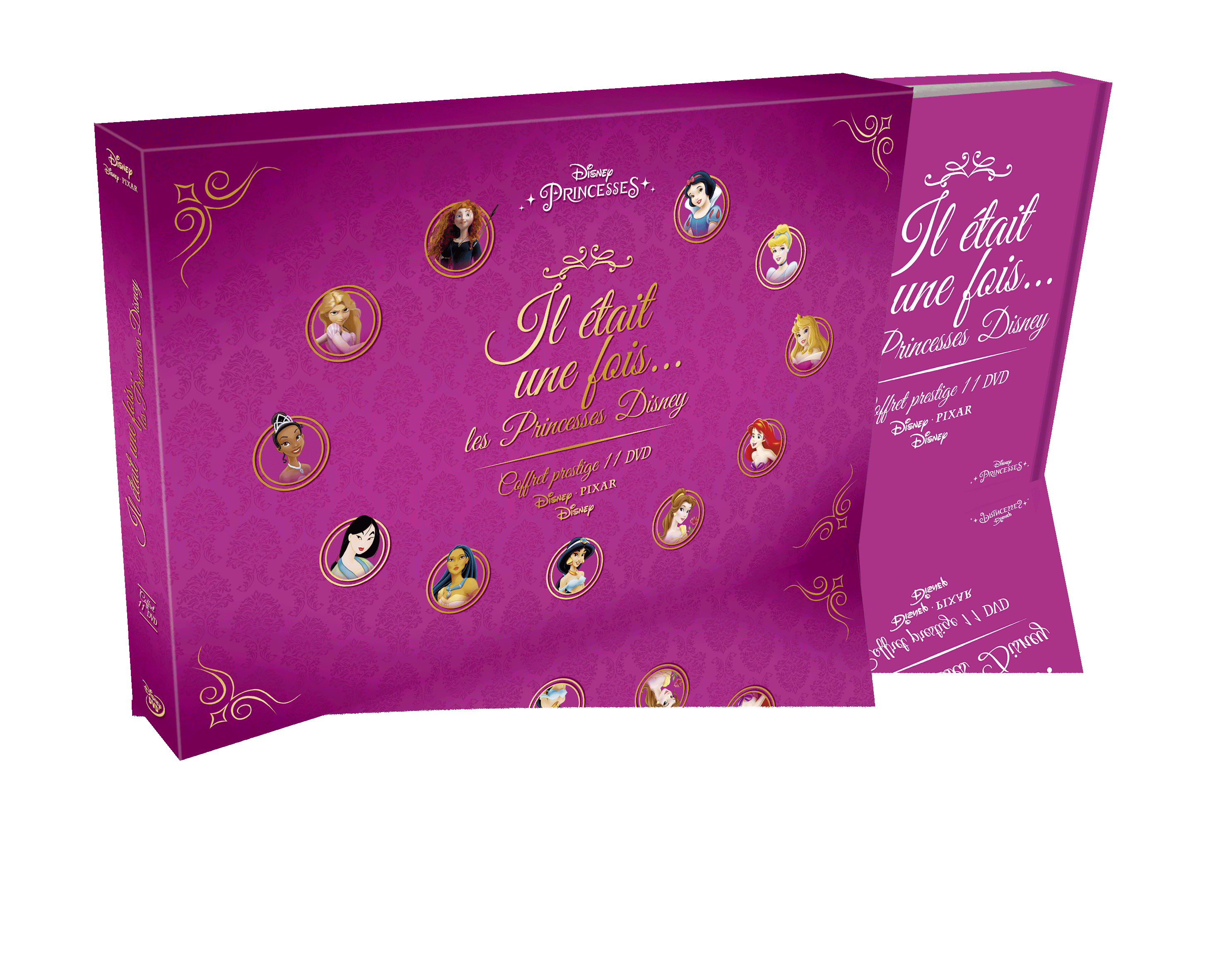 3D DVD PRINCESSE.png