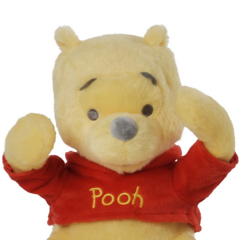 coucou-winnie-zoom Piou Piou et Merveilles.jpg