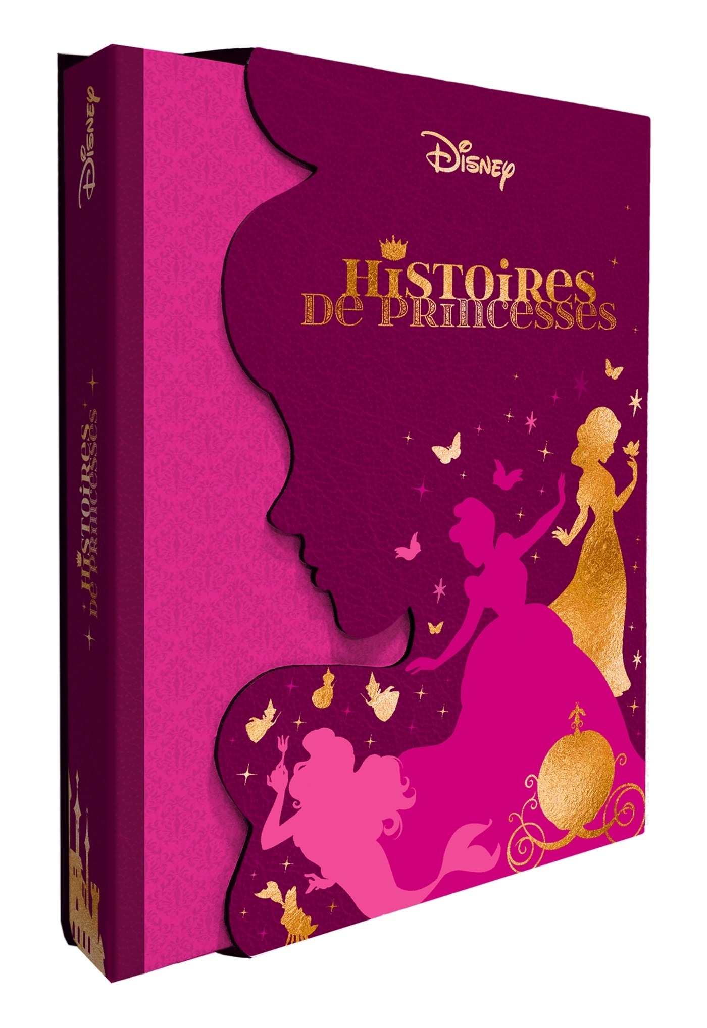 Histoires de princesses.jpeg