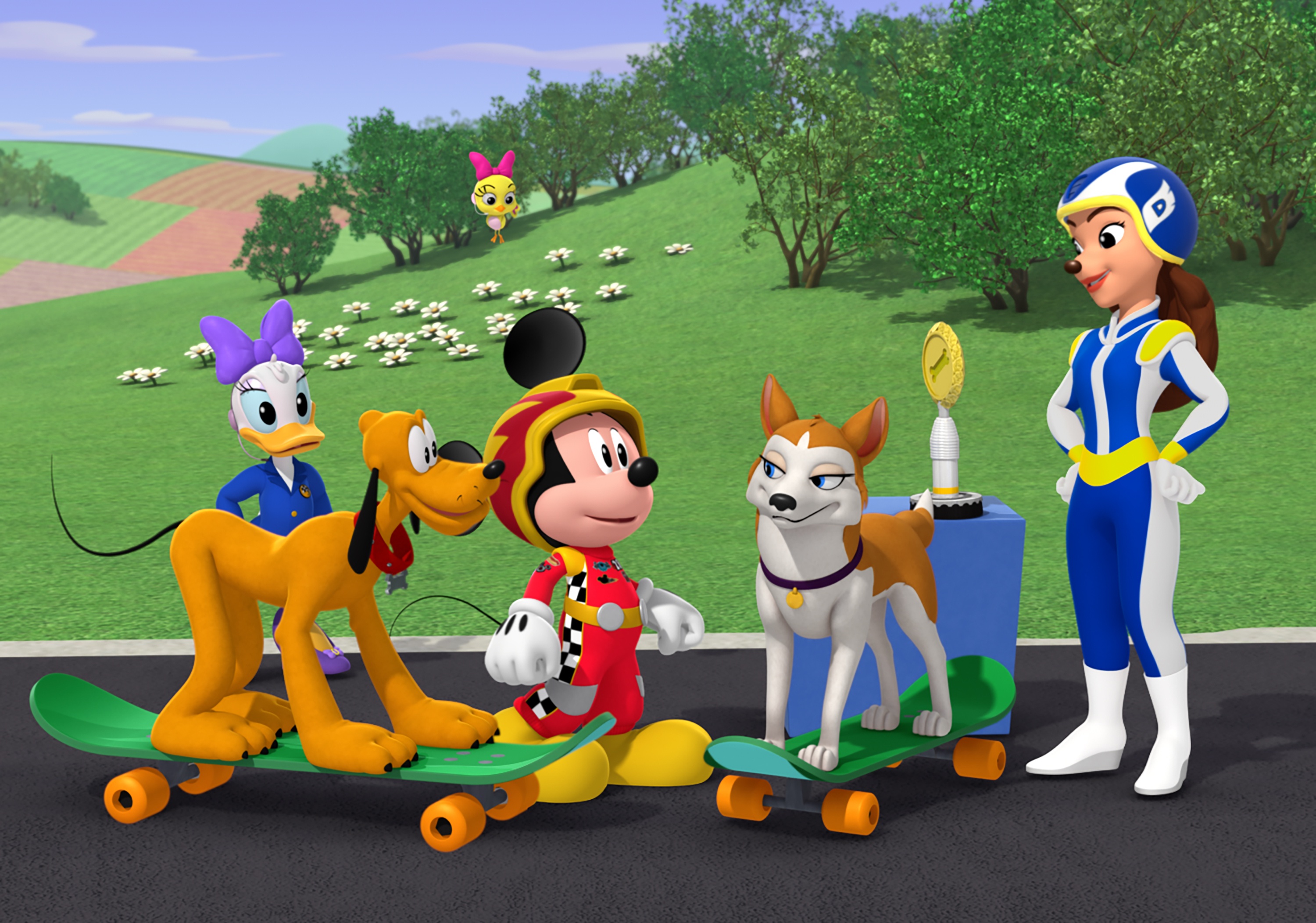 Ready, Get Pet (2).jpg