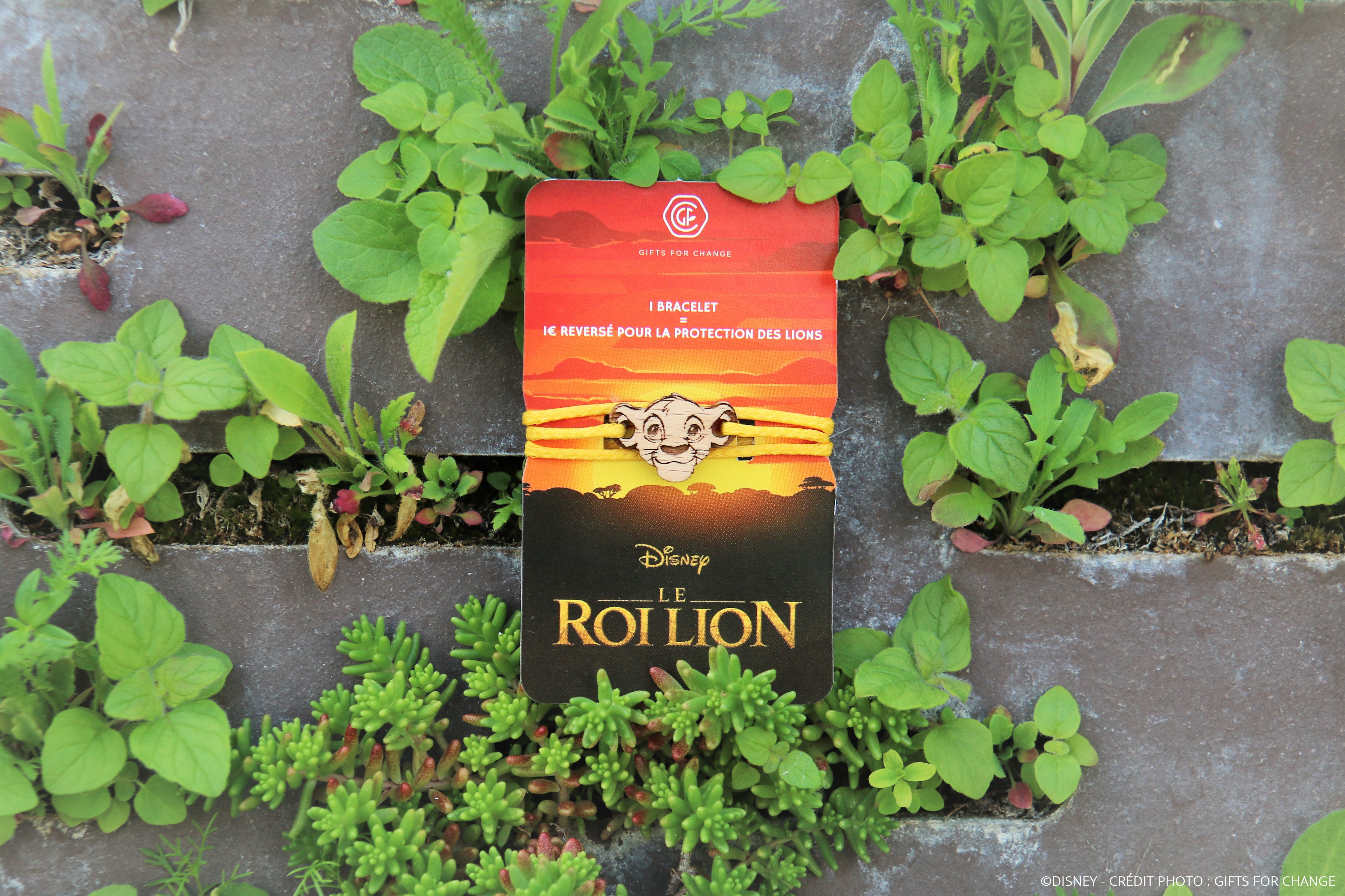 Bracelet Imagine - Le Roi lIon Disney 2019 - Moodshot 1.jpg