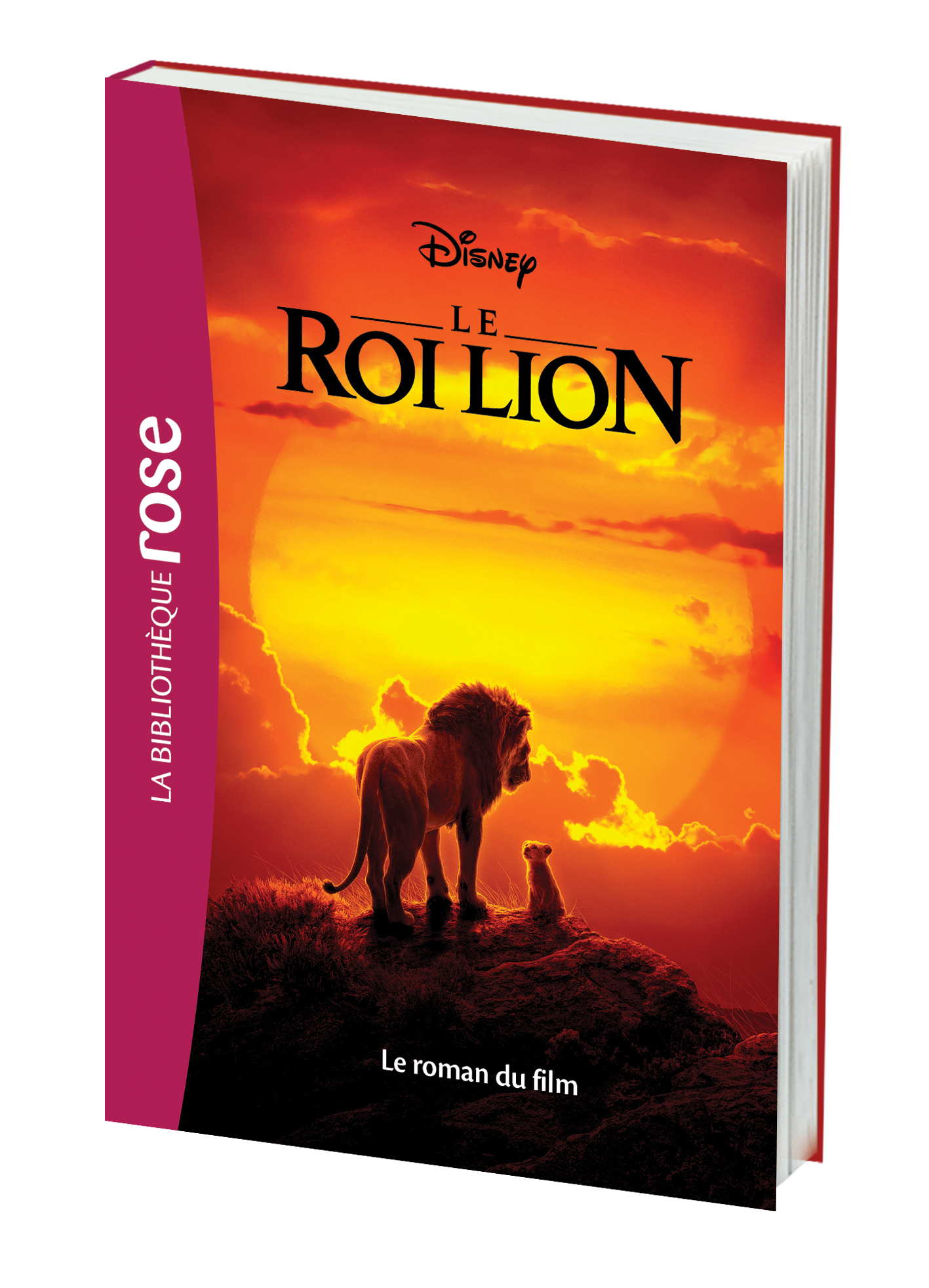 Hachette - Le Roi Lion Film.png