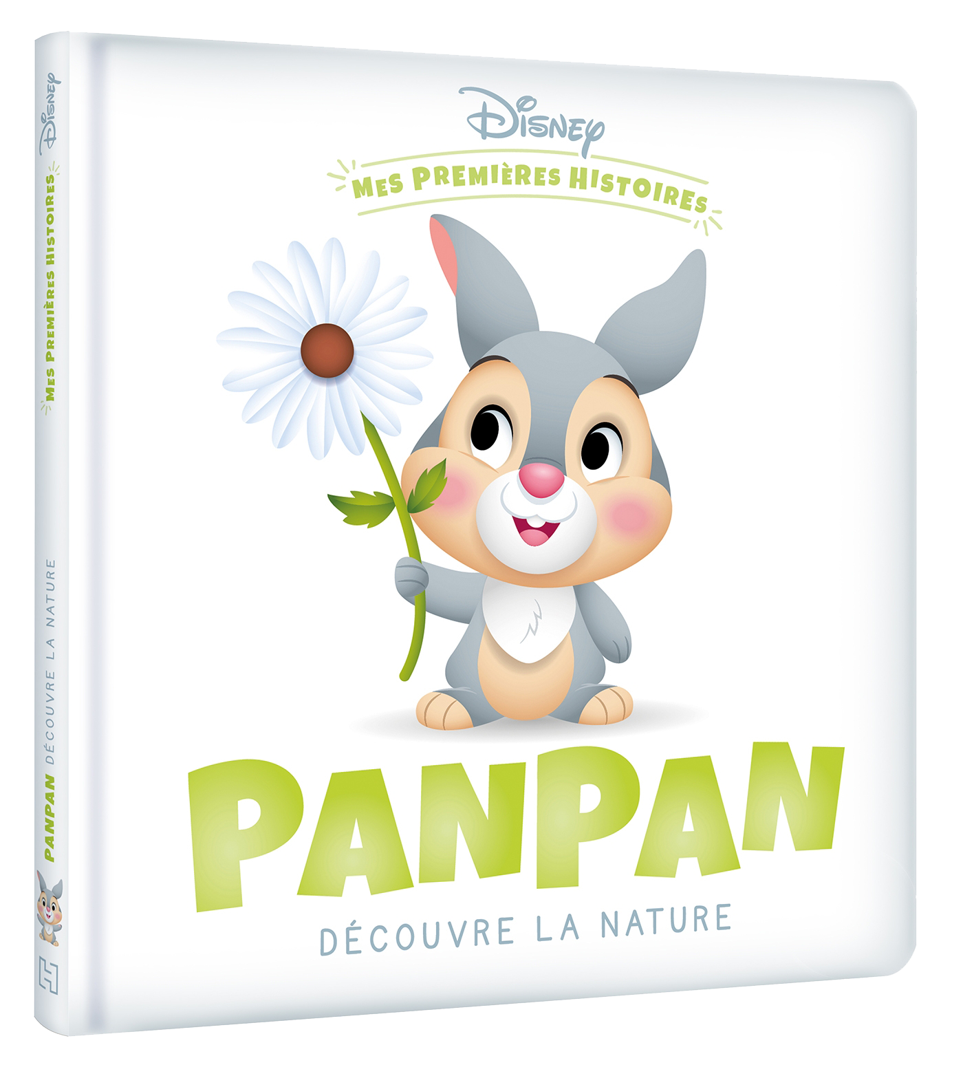 Hachette-Jeunesse-Collection-Disnet---Mes-premières-histoires---Panpan.png