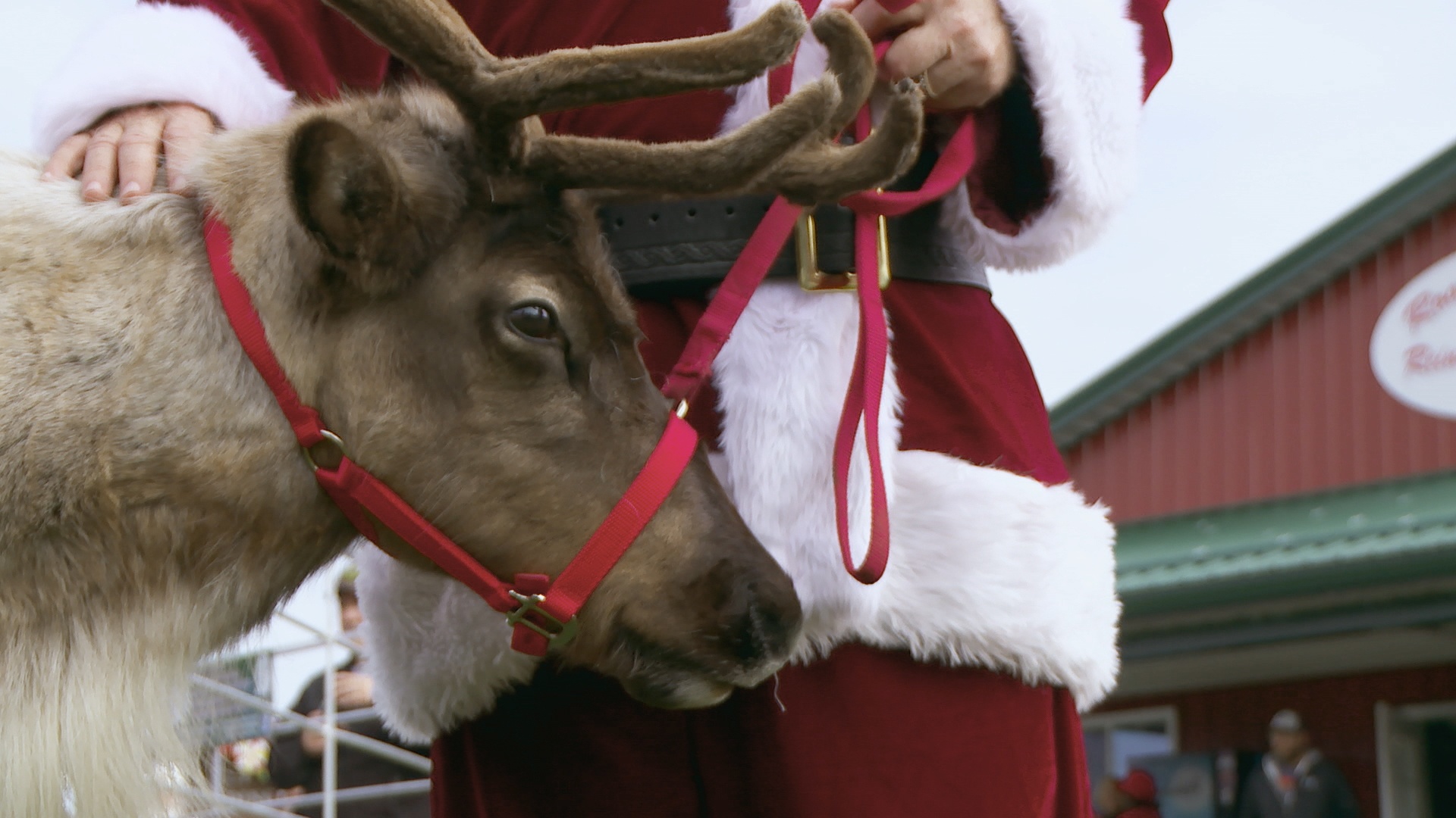 DocGotRunOverByAReindeer_IncredibleDrPol_Ep805_LR_02.jpg