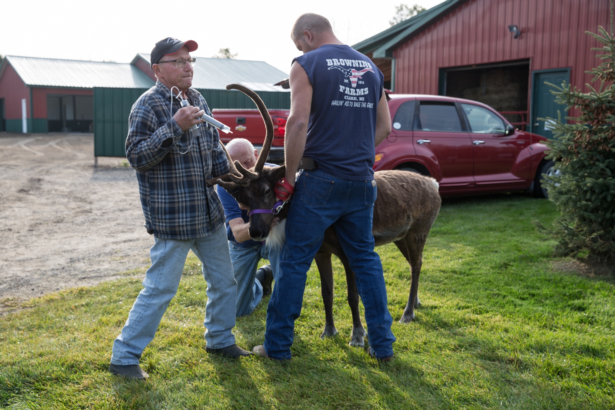 DocGotRunOverByAReindeer_IncredibleDrPol_Ep805_03.jpg
